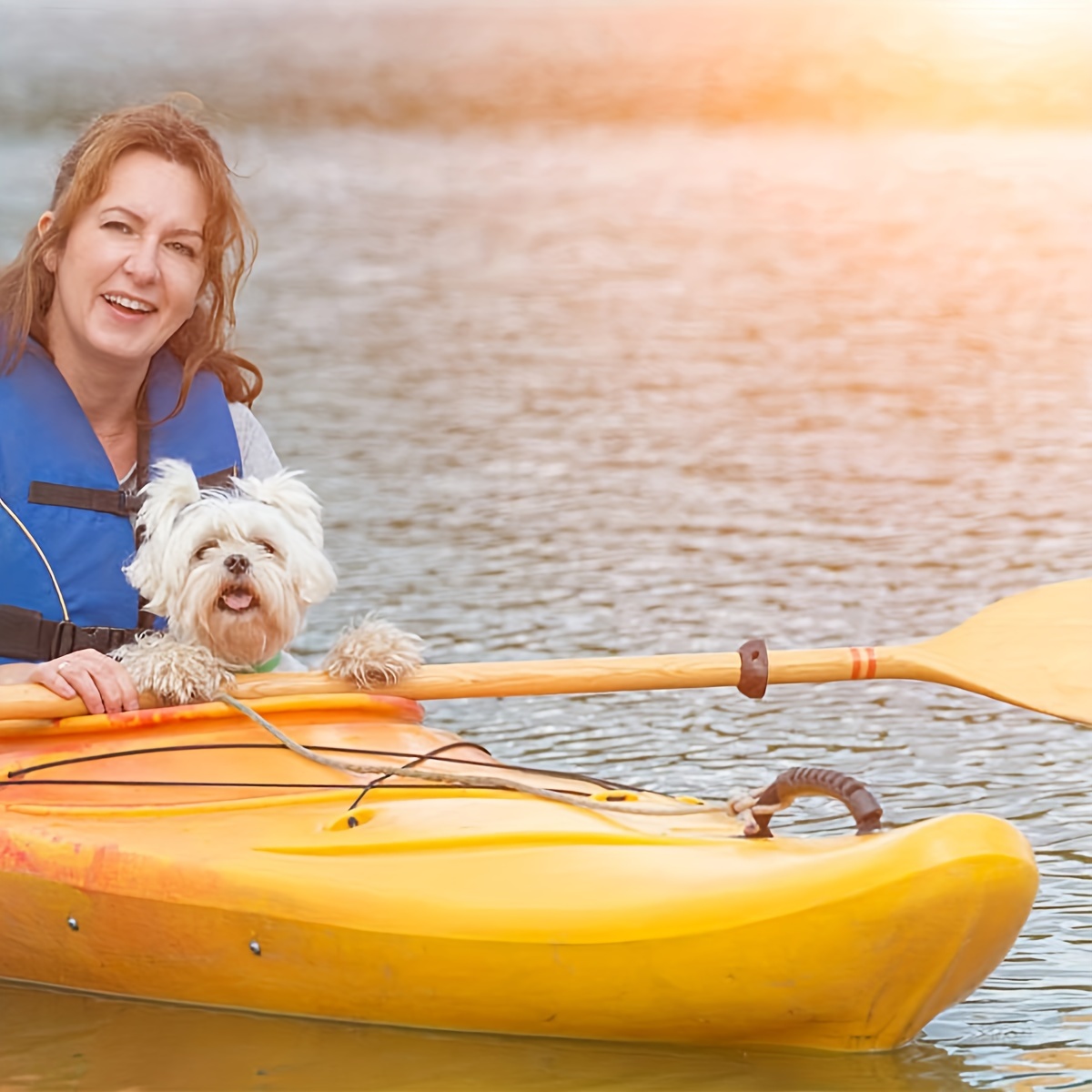 カヤックボートハンドルに適したカヤックハードウェアアクセサリ - Fishing Kayak Anchor のレビューと価格
